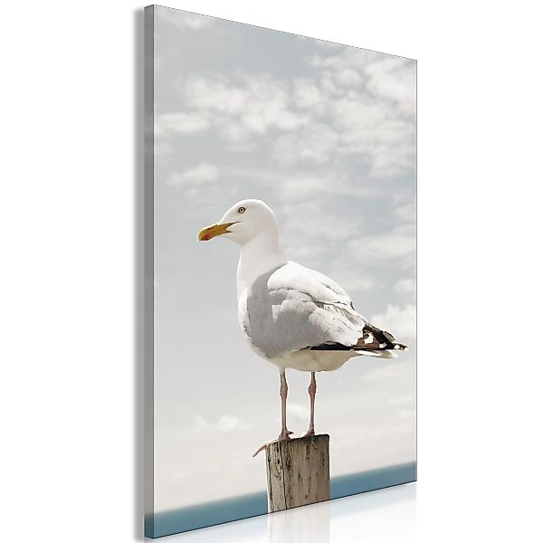 Wandbild - Seagull (1 Part) Vertical günstig online kaufen