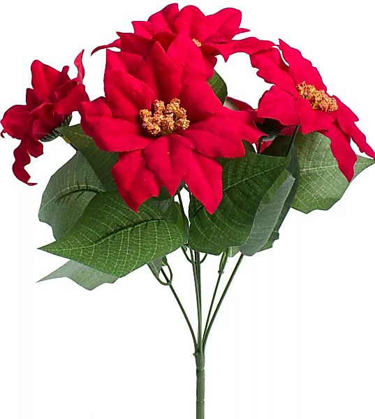 Botanic-Haus Kunstblume "Weihnachtsstern mit 6 Blüten" günstig online kaufen