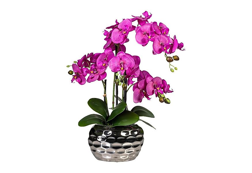 Kunstorchidee Kunstpflanze Orchidee Orchidee, Creativ green, Höhe 55.00 cm, günstig online kaufen