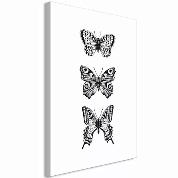 artgeist Wandbild Three Butterflies (1 Part) Vertical schwarz/weiß Gr. 40 x günstig online kaufen