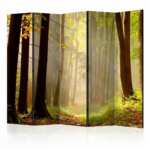 artgeist Paravent Mysterious forest path II [Room Dividers] mehrfarbig Gr. günstig online kaufen