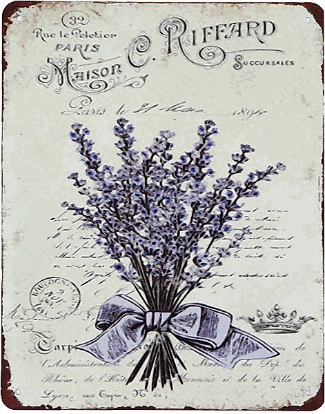 Ambiente Haus Metallbild "Metallbild - Lavendel" 1 Stk. tlg. günstig online kaufen