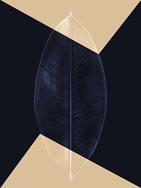 Komar Bild "Lotus Theatre" Natur 1 Stk. tlg. Wandbild zur Dekoration - ohne günstig online kaufen