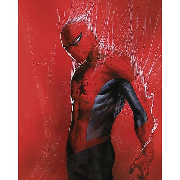 Komar Wandbild Marvel Spider-Man Through the Spider Web 40 cm x 50 cm Rot günstig online kaufen