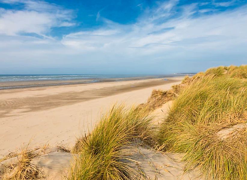 Papermoon Fototapete »Dunes Touquet-Paris Beach« günstig online kaufen