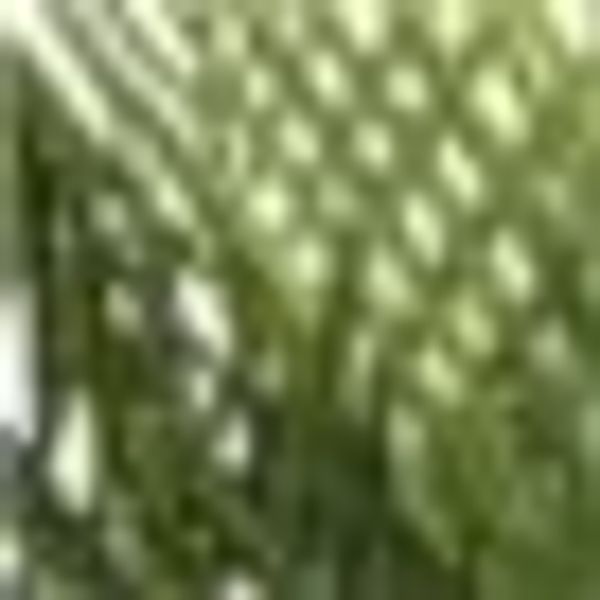 Creativ green Kunstpalme "Goldfruchtpalme" günstig online kaufen