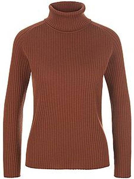 Rollkragen-Pullover aus 100% Schurwolle-Merino Peter Hahn braun günstig online kaufen