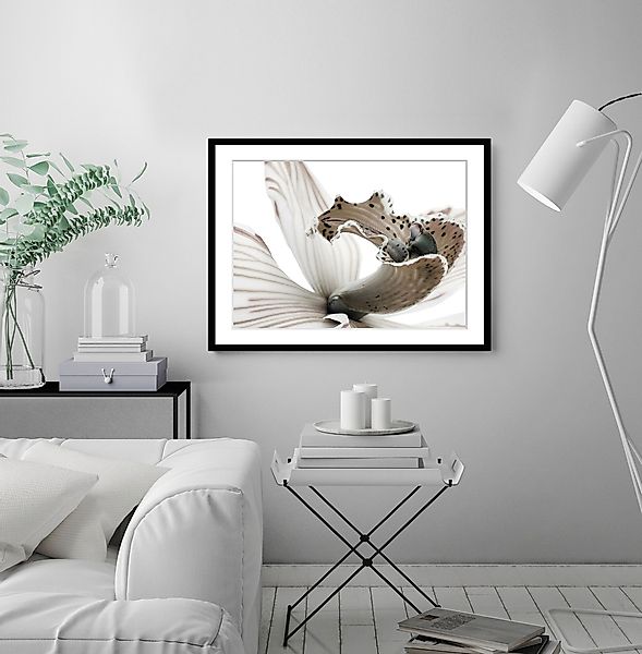 queence Bild "Herkules", Blumen-Blumenbilder-Pflanzenbilder-Foto-Kunst günstig online kaufen