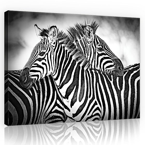 Wallarena Leinwandbild Tiere Zebra Schwarz Weiß günstig online kaufen