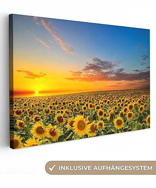 OneMillionCanvasses® Leinwandbild Blumen - Sonnenblume - Sonnenuntergang - günstig online kaufen