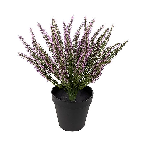 Kunstblume Erika / Heidekraut 32x28cm im Topf DP Kunstpflanzen künstliche B günstig online kaufen