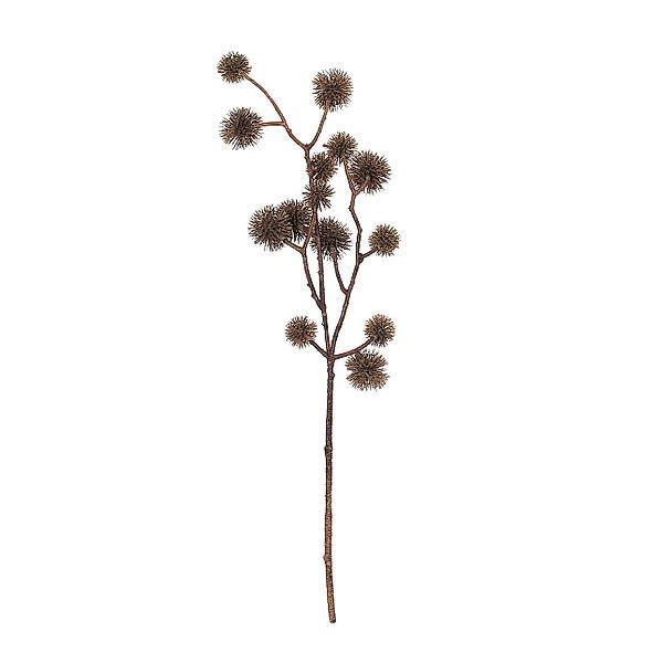 Deko-Zweig Castania  50 cm, 15x5x50 cm günstig online kaufen