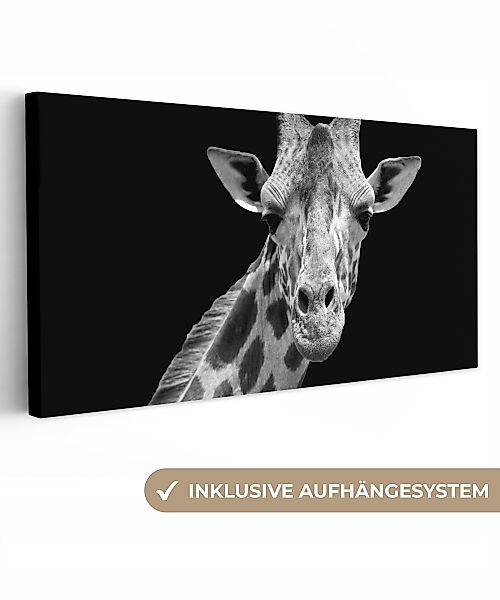 OneMillionCanvasses® Leinwandbild Panorama Giraffe - Wildtiere günstig online kaufen