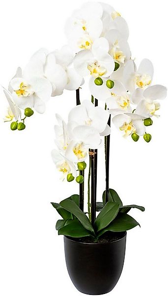 Kunstorchidee Phalaenopsis im Resintopf Orchidee Phalaenopsis, Creativ gree günstig online kaufen