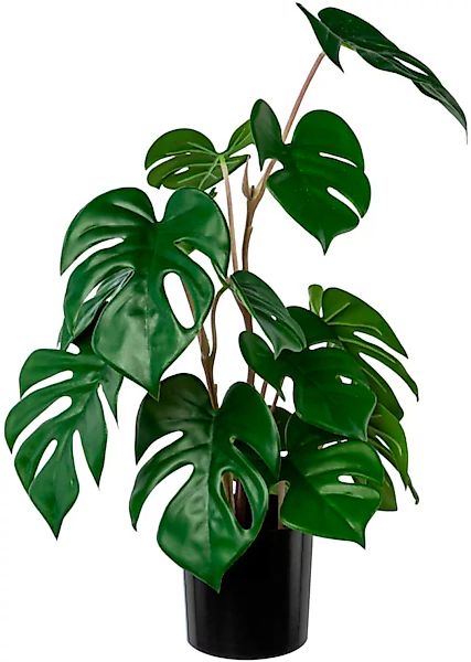 Creativ green Künstliche Zimmerpflanze »Split-Philodendron-Pflanze« günstig online kaufen