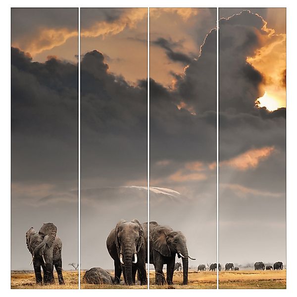 Bilderdepot24 Schiebegardine modern Flächenvorhang blickdicht Elefanten günstig online kaufen