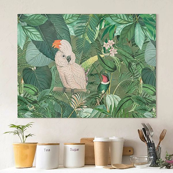 Leinwandbild Vintage Collage - Kakadu und Kolibri günstig online kaufen