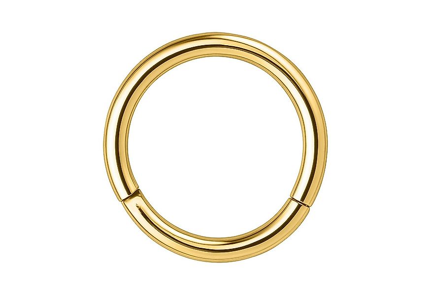 Wildcat Nasenpiercing Hinged Segmentringfür Ohr, Lippe, Nase, Bauchnabel, 1 günstig online kaufen