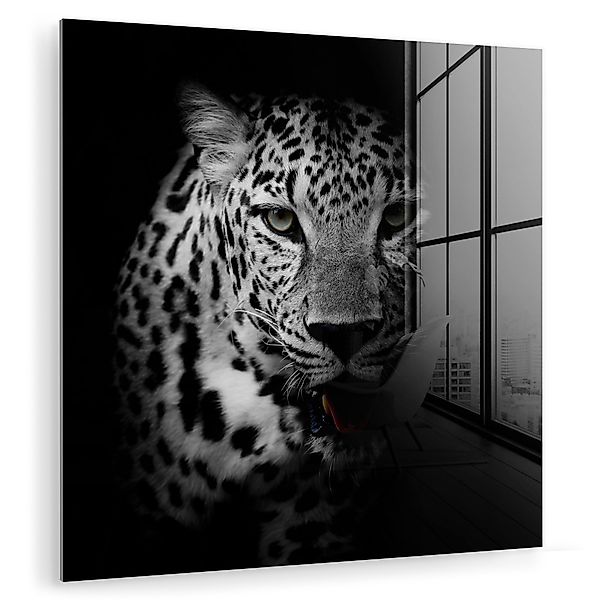 MuchoWow Acrylglasbild Tiere - Schwarz - günstig online kaufen