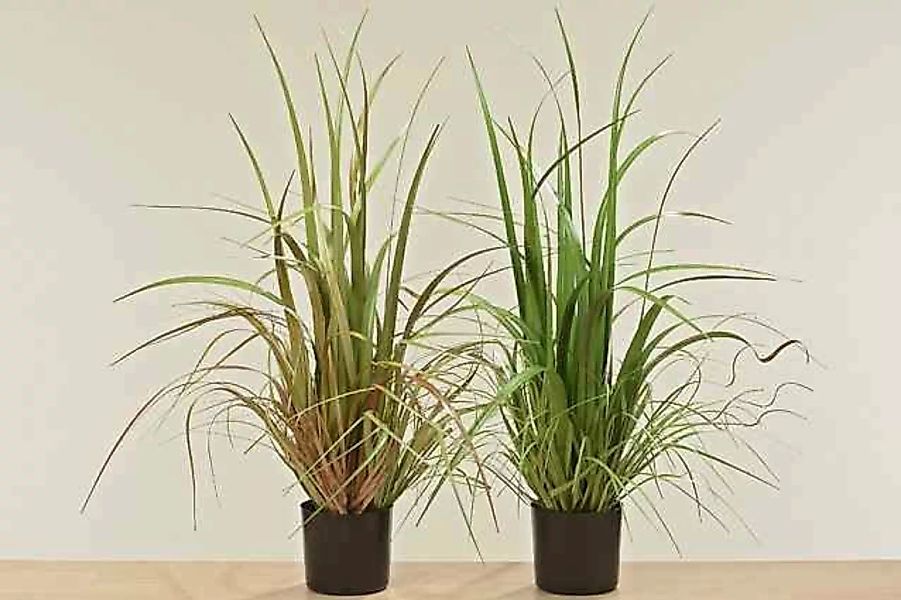 Boltze Kunstpflanzen & -blumen Pflanze im Topf sortiert 82 cm (grün) günstig online kaufen