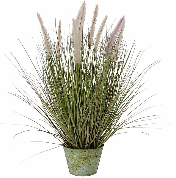 Kunstpflanze Fuchsschwanzgras Fuchsschwanzgras, I.GE.A., Höhe 55 günstig online kaufen