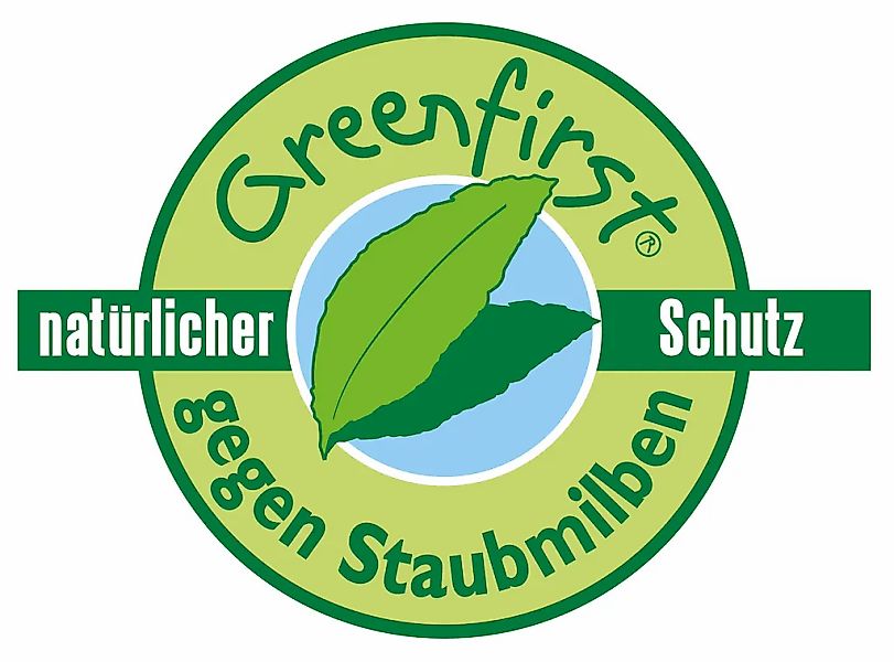 KBT Bettwaren Microfaserkissen "Greenfirst" 1 Stk. tlg. günstig online kaufen