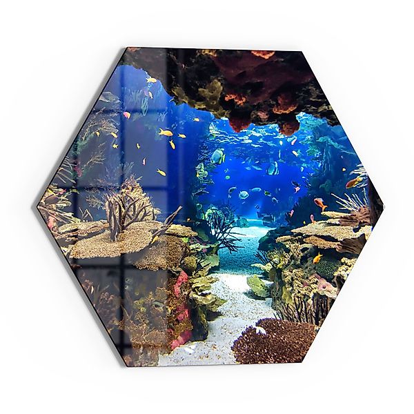 DEQORI Glasbild 'Exotisches Aquarium', 'Exotisches Aquarium', günstig online kaufen