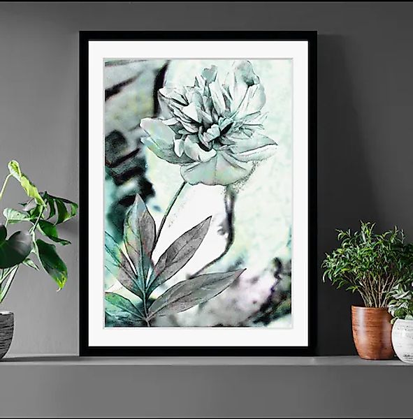 queence Bild »Christa«, Blumen, Rose, gerahmt günstig online kaufen