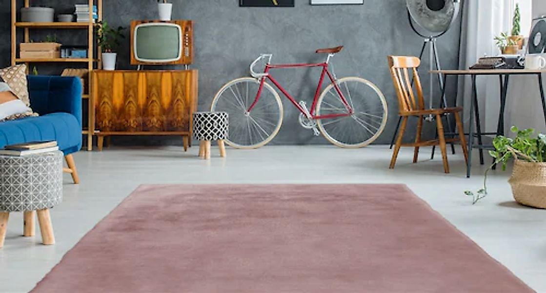my home Fellteppich »Alvin«, rechteckig, 45 mm Höhe, Teppich in Kaninchenfe günstig online kaufen