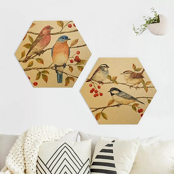 2-teiliges Hexagon-Alu-Dibond Bild Vögel und Beeren Set I günstig online kaufen