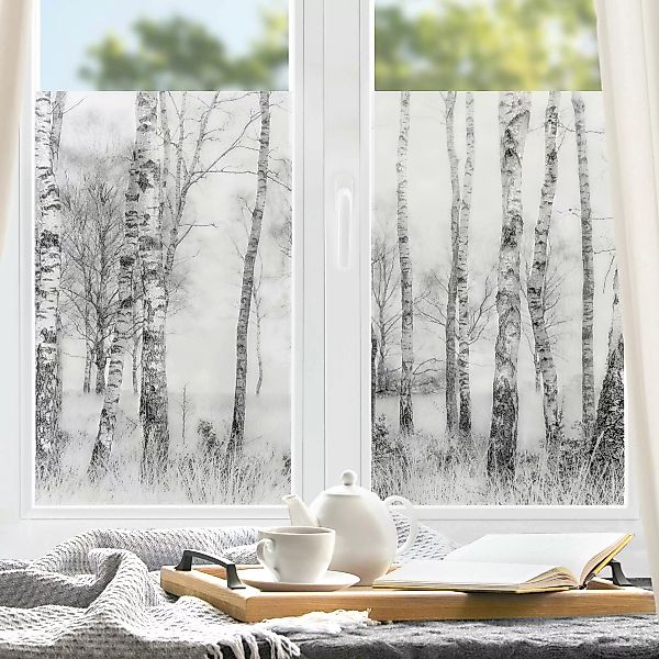 Fensterfolie Mystischer Birkenwald Schwarz-Weiß günstig online kaufen