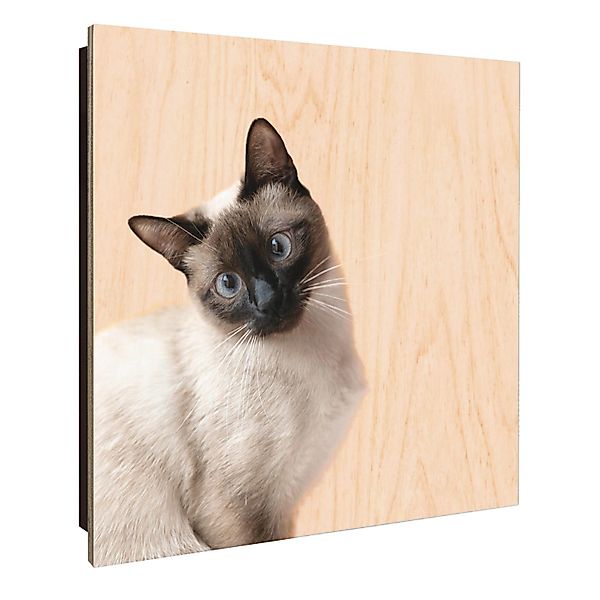 Banjado Großer Schlüsselkasten Holz 30x30cm Schwarz Scharnier Links 50 Hake günstig online kaufen