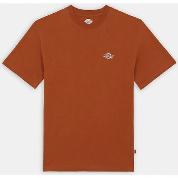 Dickies  T-Shirts & Poloshirts Summerdale ss tee bombay günstig online kaufen