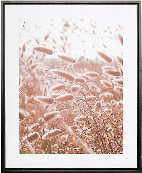 Creativ home Bild mit Rahmen "Leinwandbild Grasblüten", (1 St.), mit Rahmen günstig online kaufen
