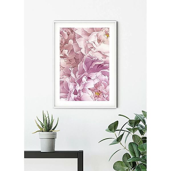 Komar Wandbild Soave Blumen B/L: ca. 50x70 cm günstig online kaufen