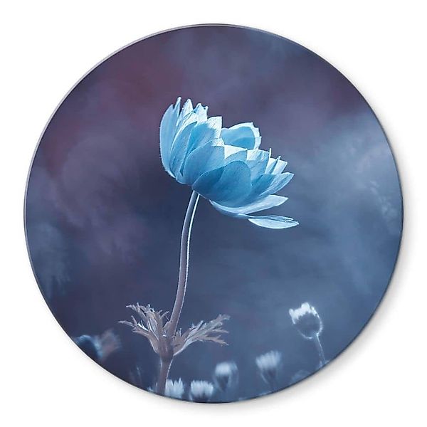 K&L Wall Art Glasbild Glas Wandbild günstig online kaufen