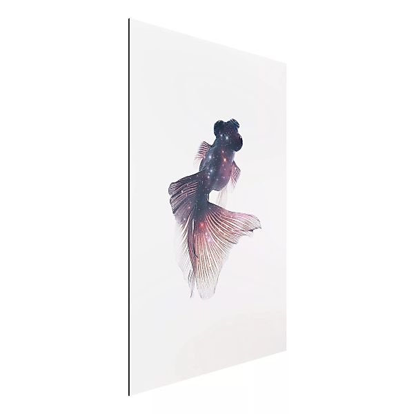 Alu-Dibond Bild Kunstdruck - Hochformat 2:3 Fisch mit Galaxie günstig online kaufen