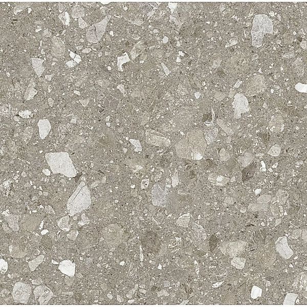 United Tile und Mosaic Bodenfliese Terra Feinsteinzeug Taupe 60 cm x 60 cm günstig online kaufen