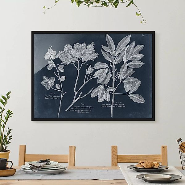 Bild mit Rahmen Blumen - Querformat Blattwerk Dunkelblau - Wacholder günstig online kaufen