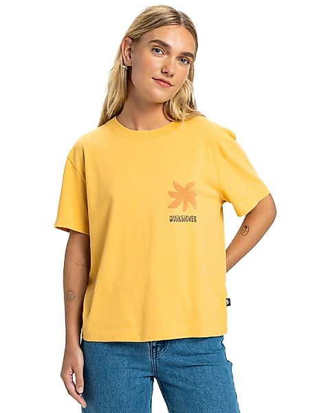 Quiksilver T-Shirt Standard günstig online kaufen