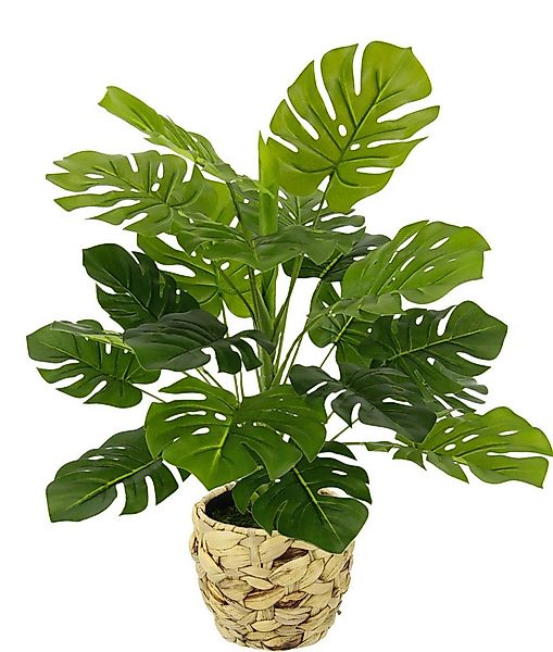 Kunstpflanze Monstera, I.GE.A., Höhe 46 cm, Mit Übertopf künstlicheSplitphi günstig online kaufen