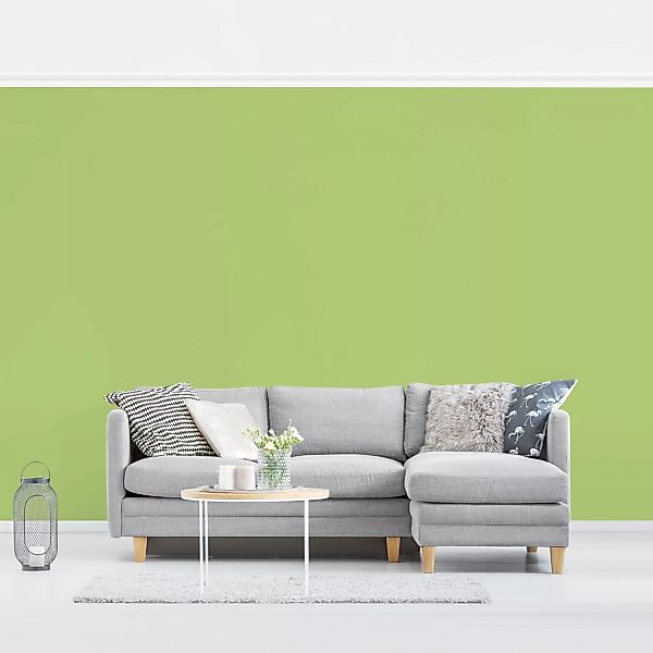 Unitapete Colour Spring Green günstig online kaufen