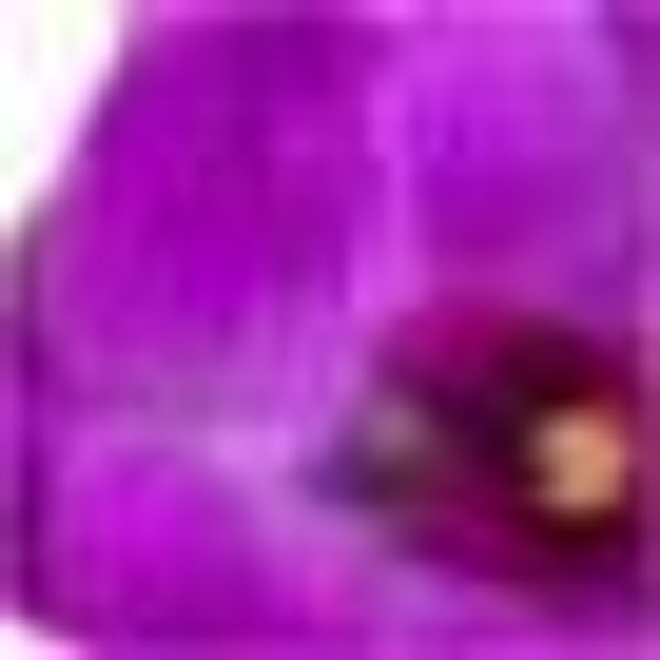 Creativ green Kunstorchidee "Phalaenopsis" im Keramikschiff günstig online kaufen