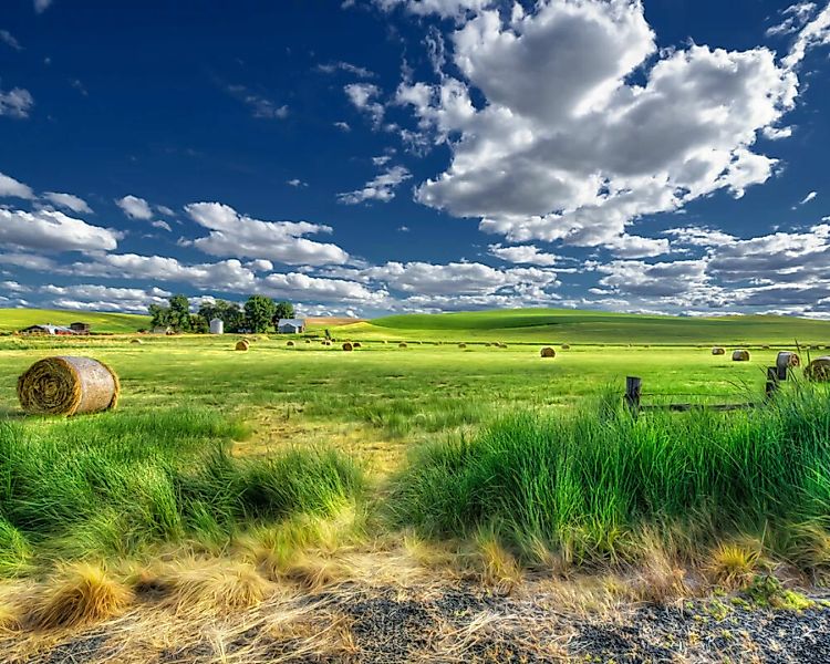 Fototapete "Grne Weide" 4,00x2,50 m / Glattvlies Perlmutt günstig online kaufen