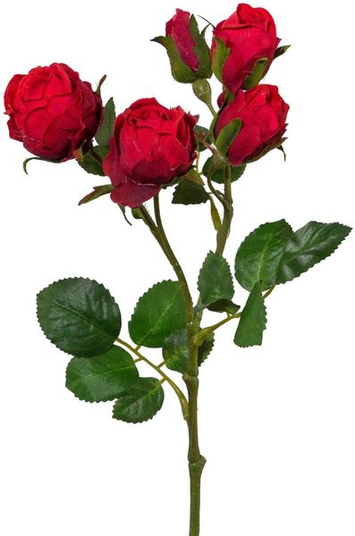 Kunstblume, Creativ green, Höhe 39 cm, günstig online kaufen