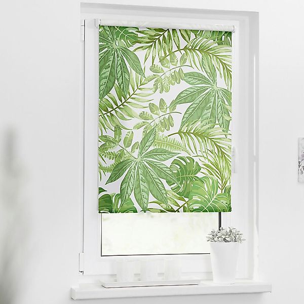 Verdunkelungsrollo Blätter grün B/L: ca. 70x150 cm günstig online kaufen