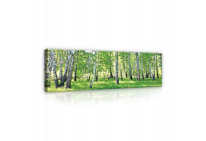 Wallarena Leinwandbild Wald Grün Birkenwald Landschaft Natur Wand Deko 145x günstig online kaufen
