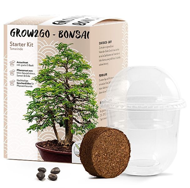HappySeed Blumensamen GROW2GO Bonsai Starter Kit günstig online kaufen