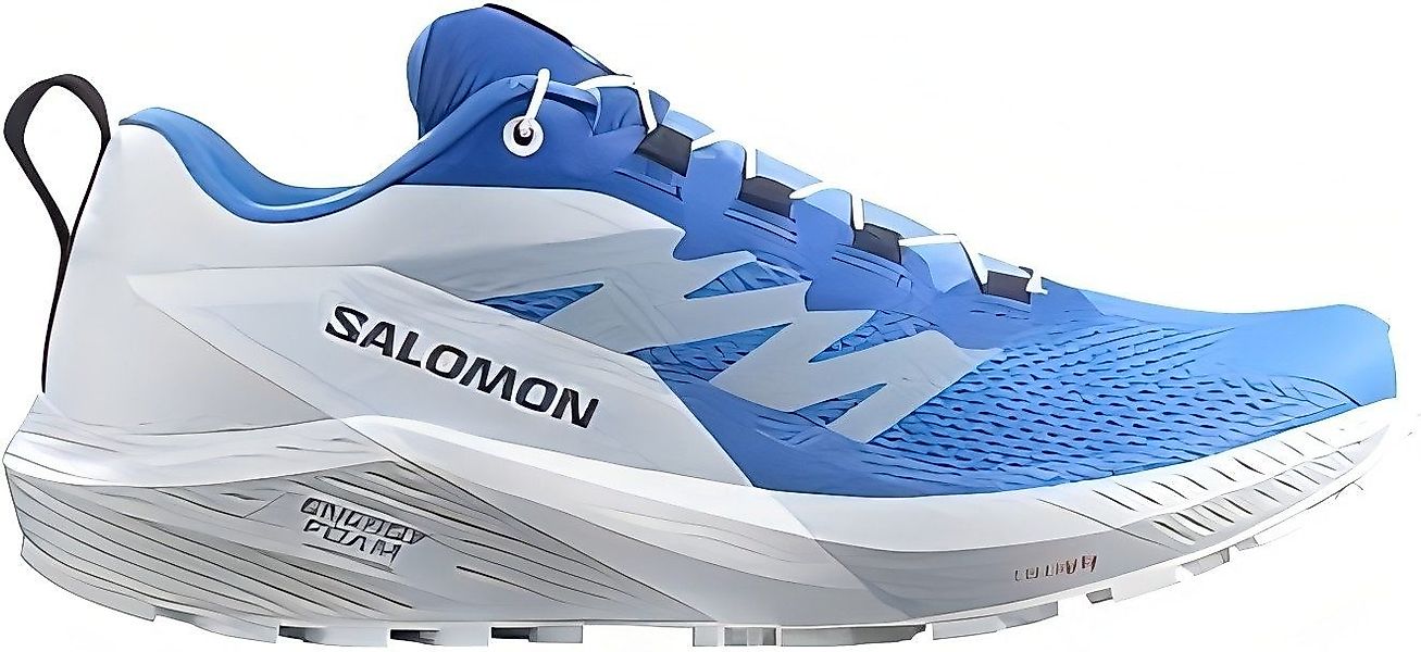 Salomon Sense Ride 5 für Herren günstig online kaufen
