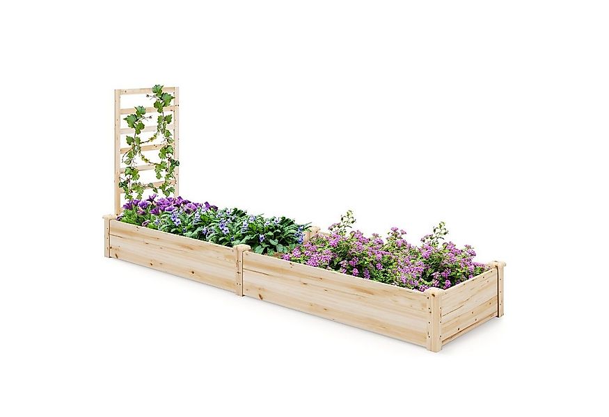 COSTWAY Hochbeet (1 St), mit Rankgitter, Blumenkasten aus Tannenholz, 235x6 günstig online kaufen